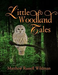 Produktbild: Little Woodland Tales