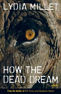 Produktbild: How The Dead Dream