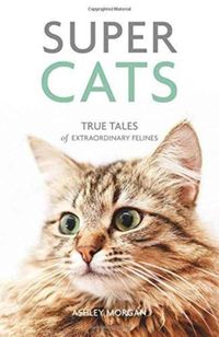 Produktbild: Morgan, A: Super Cats