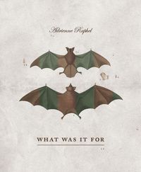 Produktbild: What Was It for