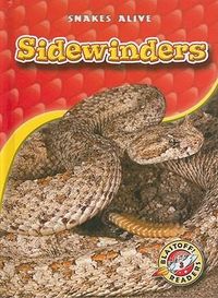 Produktbild: Sidewinders