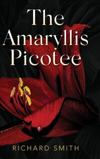 Produktbild: The Amaryllis Picotee