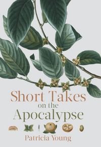 Produktbild: Short Takes on the Apocalypse