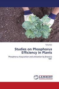 Produktbild: Studies on Phosphorus Efficiency in Plants