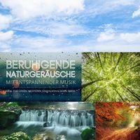 Produktbild: Beruhigende Naturger&auml;usche mit entspannender Musik (XXL-Bundle)