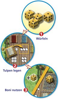 Amigo Spiele - Tulpenfieber