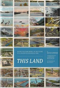 Produktbild: This Land