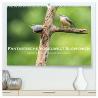 Produktbild: Fantastische Vogelwelt Slowenien (hochwertiger Premium Wandkalender 2026 DIN A2 quer), Kunstdruck in Hochglanz