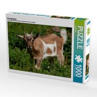 Produktbild: CALVENDO Puzzle Zwergziegen | 1000 Teile Lege-Gr&ouml;&szlig;e 64x48cm Foto-Puzzle f&uuml;r gl&uuml;ckliche Stunden