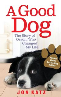 Produktbild: A Good Dog