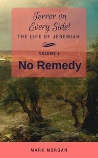 Produktbild: No Remedy