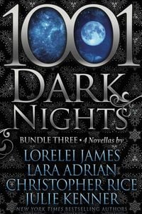 Produktbild: 1001 Dark Nights