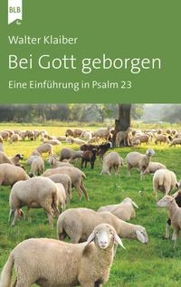 Produktbild: Bei Gott geborgen