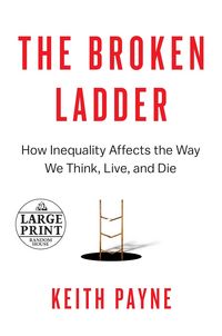 Produktbild: Broken Ladder -Lp