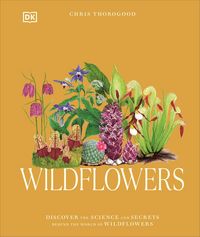 Produktbild: Wildflowers