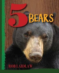 Produktbild: 5 Bears