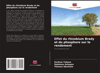 Produktbild: Effet du rhizobium Brady et du phosphore sur le rendement