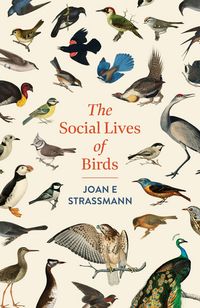 Produktbild: The Social Lives of Birds