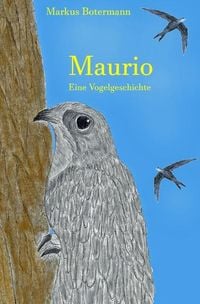 Produktbild: Maurio