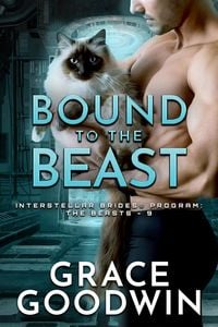 Produktbild: Bound to the Beast