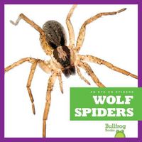 Produktbild: Wolf Spiders
