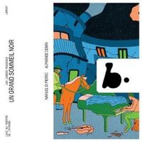 Produktbild: Un grand sommeil noir