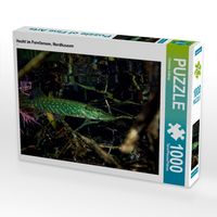Bild vom Artikel CALVENDO Puzzle Hecht im Forellensee, NordhausenLege-Größe 64 x 48 cm Foto-Puzzle Bild von Christian Suttrop vom Autor 