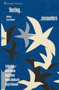 Produktbild: Fleeting Encounters