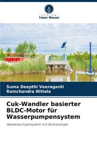 Produktbild: Cuk-Wandler basierter BLDC-Motor f&uuml;r Wasserpumpensystem