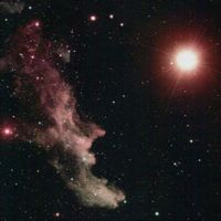 Produktbild: Ignatius: Lights From the Deep
