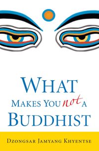 Bild vom Artikel What Makes You Not a Buddhist vom Autor Dzongsar Jamyang Khyentse