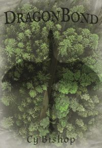 Produktbild: The Endonshan Chronicles Book 1: DragonBond