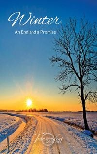 Produktbild: Winter, An End and a Promise (The Seasons, #3)
