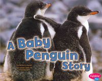 Produktbild: Baby Pngn Story