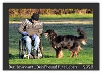 Produktbild: Der Hovawart... Dein Freund f&uuml;rs Leben ! (Tischkalender 2026 DIN A5 quer), CALVENDO Monatskalender