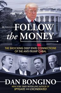 Produktbild: Follow the Money