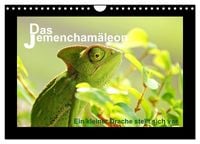 Produktbild: Das Jemencham&auml;leon (Wandkalender 2027 DIN A4 quer), CALVENDO Monatskalender