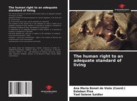 Produktbild: The human right to an adequate standard of living