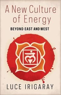 Produktbild: A New Culture of Energy