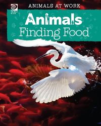 Produktbild: Animals Finding Food