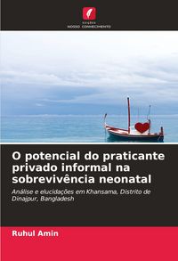 Produktbild: O potencial do praticante privado informal na sobreviv&ecirc;ncia neonatal