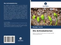 Produktbild: Die Actinobakterien