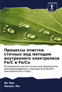 Produktbild: Processy ochistki stochnyh wod metodom wnutrennego &auml;lektroliza Fe/C i Fe/Cu