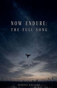 Produktbild: Now Endure