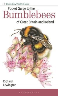 Produktbild: Pocket Guide to the Bumblebees of Great Britain and Ireland