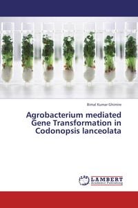 Produktbild: Agrobacterium mediated Gene Transformation in Codonopsis lanceolata