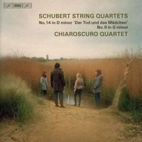 Produktbild: Streichquartette