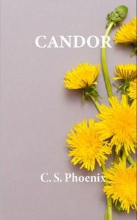 Produktbild: Candor
