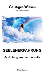 Produktbild: Seelenerfahrung