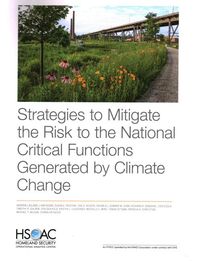 Produktbild: Lauland, A: Strategies to Mitigate the Risk to the National